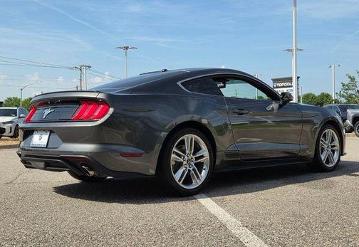 Magnetic 2019 Ford Mustang EcoBoost Premium