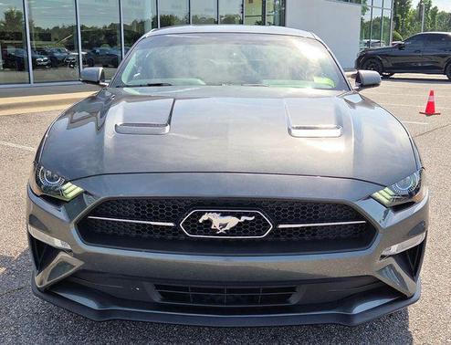 Magnetic 2019 Ford Mustang EcoBoost Premium