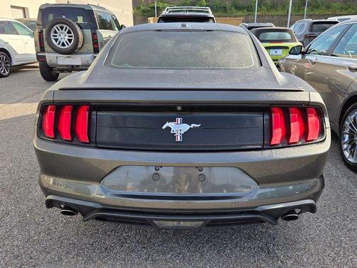 Magnetic 2019 Ford Mustang EcoBoost Premium