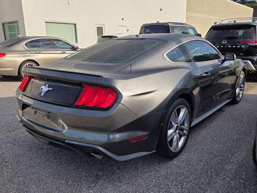 Magnetic 2019 Ford Mustang EcoBoost Premium