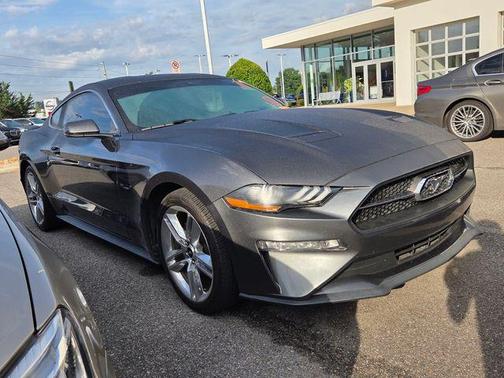 Magnetic 2019 Ford Mustang EcoBoost Premium
