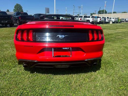 Race Red 2019 Ford Mustang EcoBoost Premium