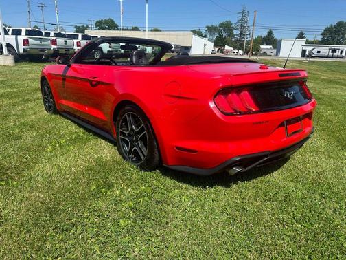Race Red 2019 Ford Mustang EcoBoost Premium