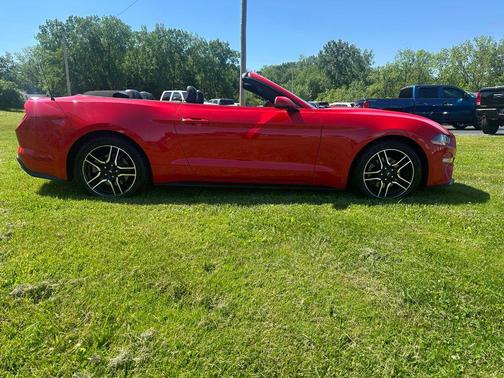 Race Red 2019 Ford Mustang EcoBoost Premium