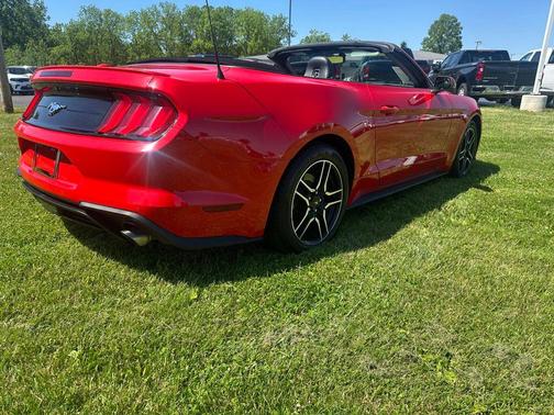Race Red 2019 Ford Mustang EcoBoost Premium