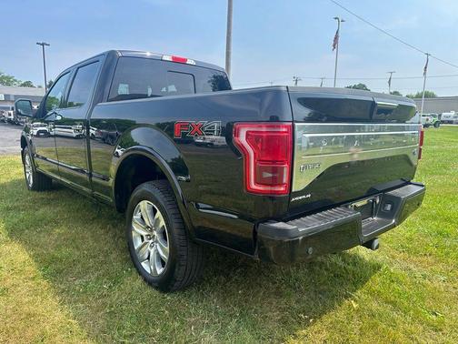 Shadow Black 2017 Ford F-150 Platinum