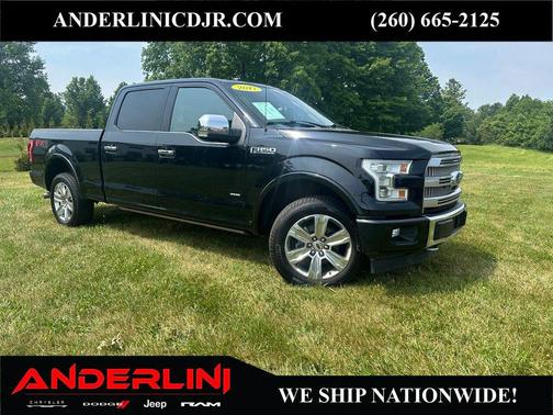 Shadow Black 2017 Ford F-150 Platinum