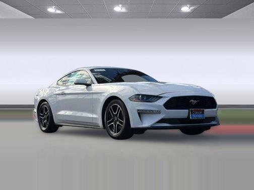2023 Ford Mustang EcoBoost