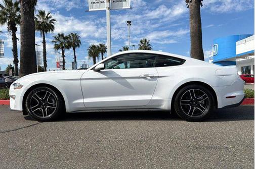 2023 Ford Mustang EcoBoost