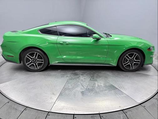 Need for Green 2019 Ford Mustang EcoBoost Premium
