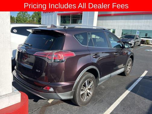 Black Currant Metallic 2017 Toyota RAV4 XLE