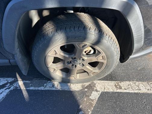 2024 Toyota RAV4 Hybrid Woodland Edition