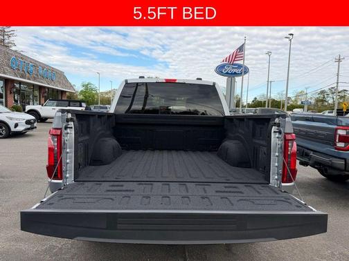 Silver Metallic 2025 Ford F-150 XLT