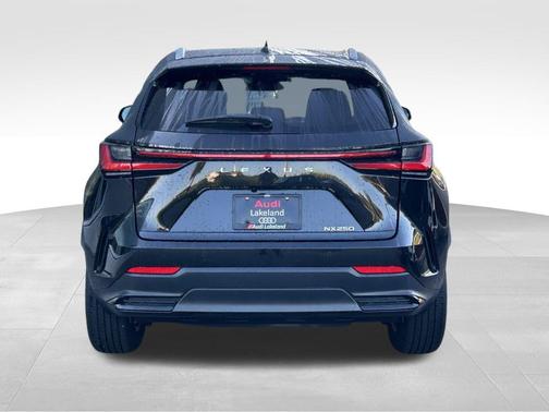 2025 Lexus NX 250 Base