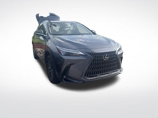 2022 Lexus NX 250 Premium