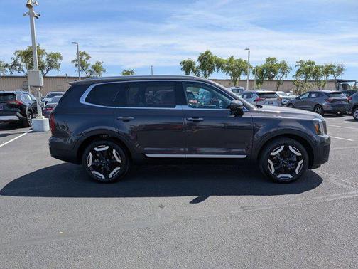 Panthera Metal 2025 Kia Telluride S