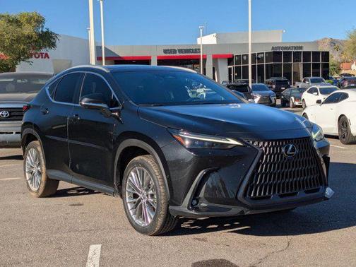 2022 Lexus NX 350h Luxury