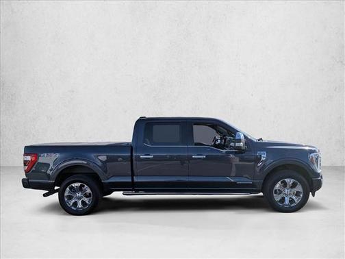Smoked Quartz Metallic Tinted Clearcoat 2021 Ford F-150 Platinum