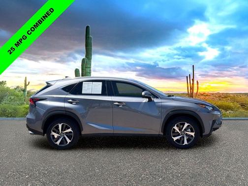 Nebula Gray Pearl 2020 Lexus NX 300 Base