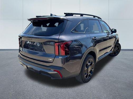 Panthera Metal 2025 Kia Sorento SX