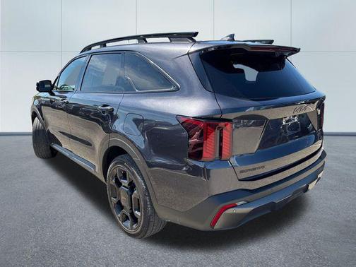 Panthera Metal 2025 Kia Sorento SX