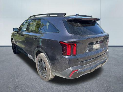 Panthera Metal 2025 Kia Sorento SX