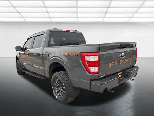 2021 Ford F-150 Tremor