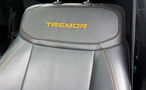 Dark Matter Gray Metallic 2025 Ford Expedition Tremor
