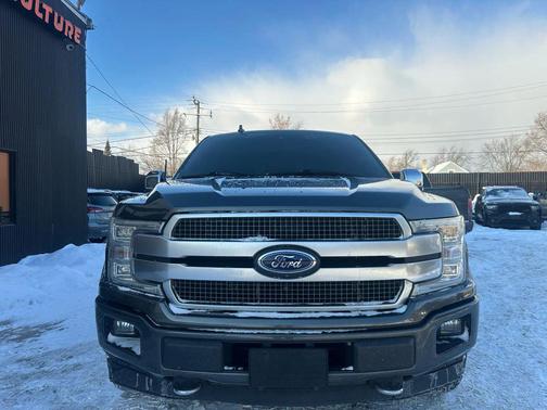 2019 Ford F-150 Platinum