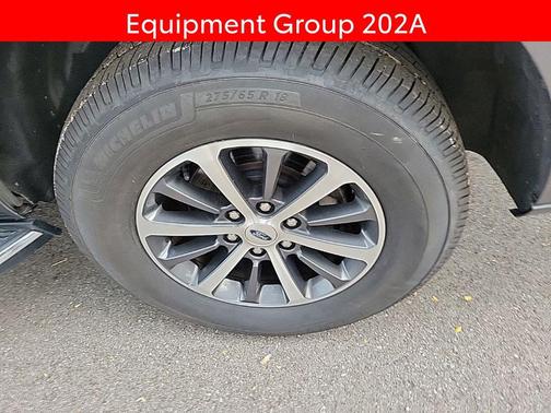 Magnetic 2019 Ford Expedition Max XLT