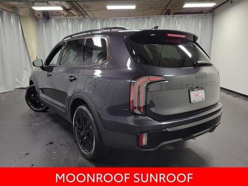 Panthera Metal 2025 Kia Telluride EX X-Line