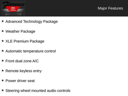 Magnetic Gray Metallic 2025 Toyota RAV4 XLE Premium