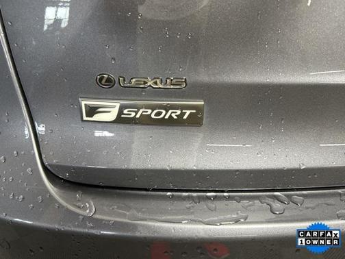 2021 Lexus NX 300 F Sport