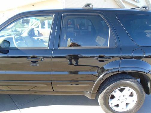 2007 Ford Escape Limited