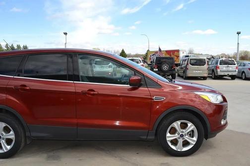 Ruby Red Tinted Clearcoat 2014 Ford Escape SE
