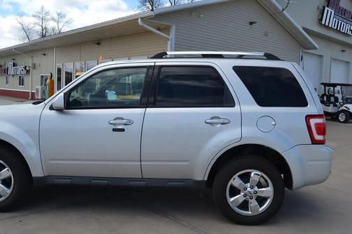 Ingot Silver Metallic 2010 Ford Escape Limited