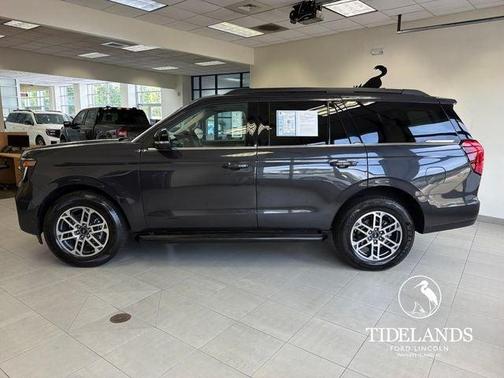 Dark Matter Gray Metallic 2025 Ford Expedition Active