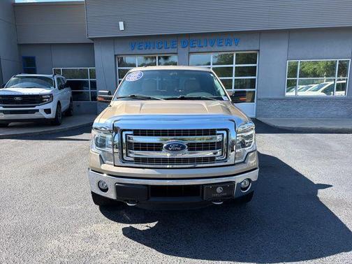 Pale Adobe Metallic 2014 Ford F-150 XLT