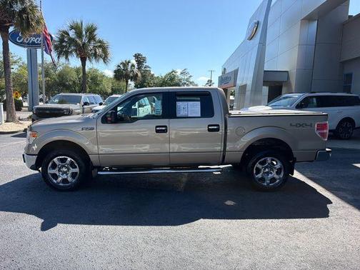 Pale Adobe Metallic 2014 Ford F-150 XLT
