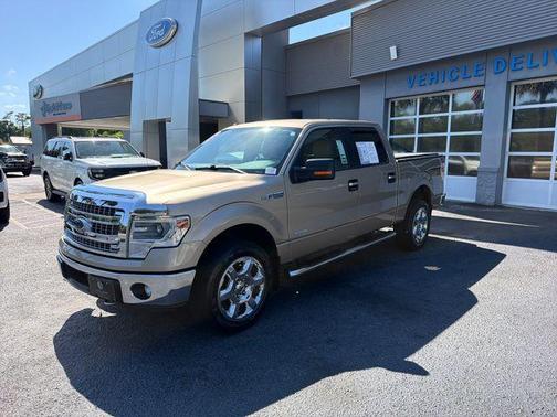 Pale Adobe Metallic 2014 Ford F-150 XLT