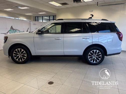 Space Silver 2025 Ford Expedition Platinum