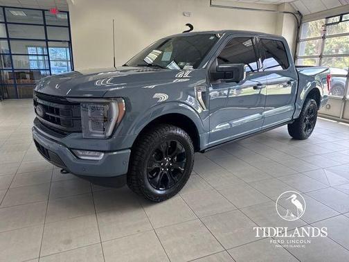 Azure Gray Metallic 2023 Ford F-150 Platinum