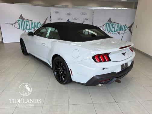 Avalanche Gray 2026 Ford Mustang Premium