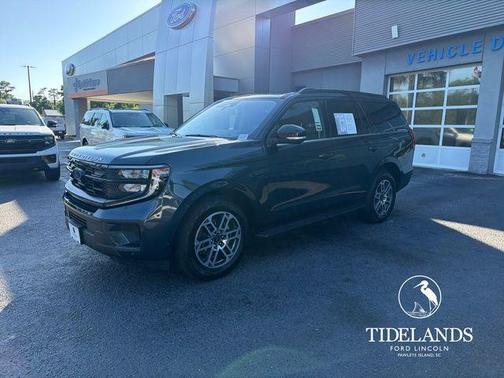 Blue Metallic 2025 Ford Expedition Active