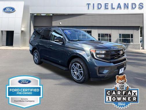 Blue Metallic 2025 Ford Expedition Active
