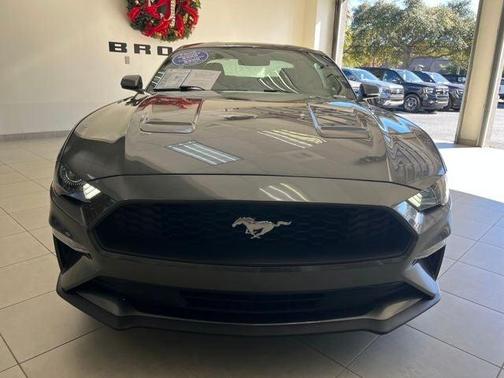 2019 Ford Mustang EcoBoost