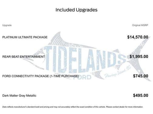 Dark Matter Gray Metallic 2026 Ford Expedition Platinum
