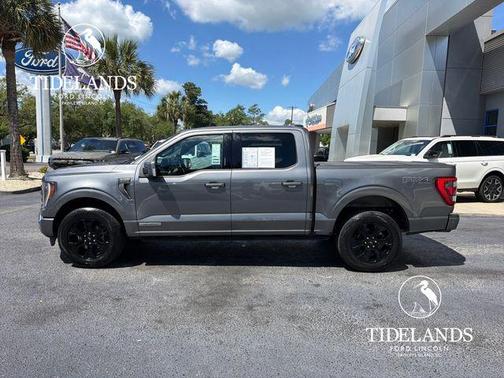 Carbonized Gray Metallic 2023 Ford F-150 Platinum