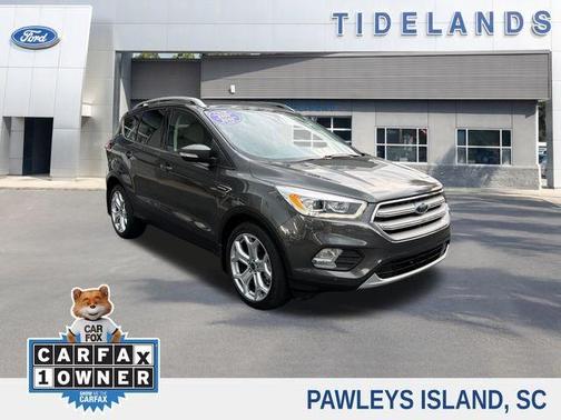 Magnetic 2019 Ford Escape Titanium