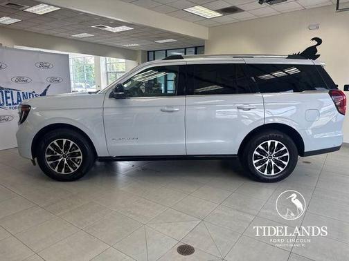 Space Silver 2025 Ford Expedition Platinum